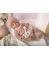 Bebé Reborn 40 cm Abril Rosa con Manta